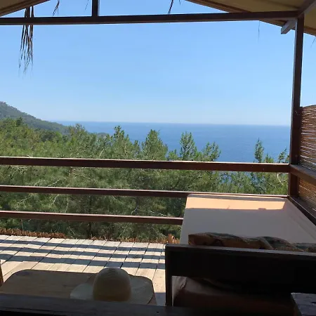 Honey Hill Forest Cabins By The Sea *
