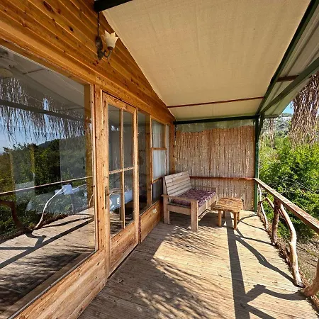 Frühstückspension Honey Hill Forest Cabins By The Sea *