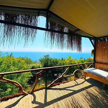 Honey Hill Forest Cabins By The Sea