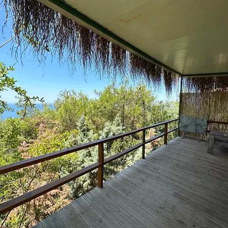 Honey Hill Forest Cabins By The Sea Frühstückspension *