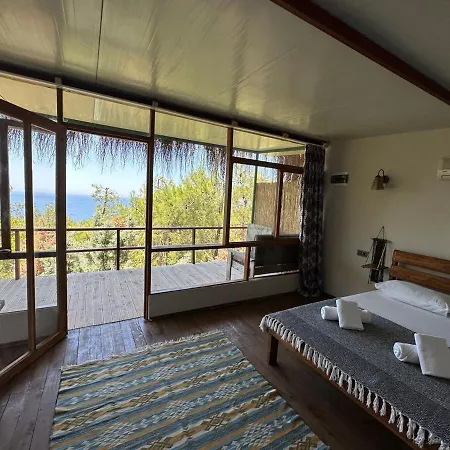 Honey Hill Forest Cabins By The Sea *